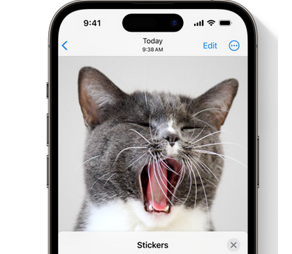 阳江苹果电脑维修分享iOS17中的贴纸功能是什么 