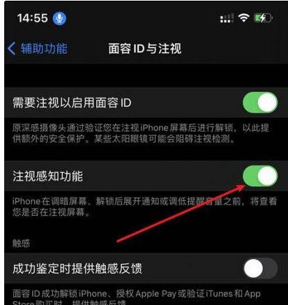 阳江苹果14维修网点分享iPhone14注视感知功能有什么用 