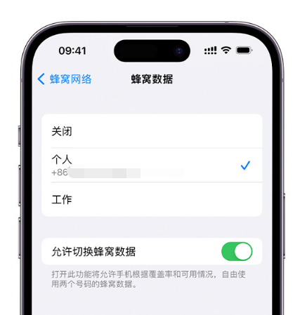 阳江苹果维修服务分享如何在iPhone上使用双卡 